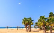 5 Things To Do In Cape Verde