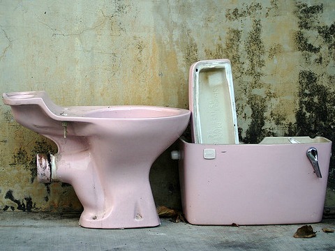 broken toilet in singapore