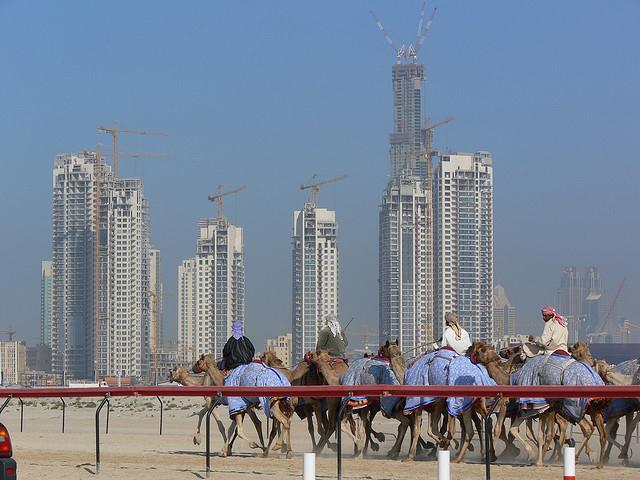 Camel race in front of the Dubai towers_criminalintent_flickrcc