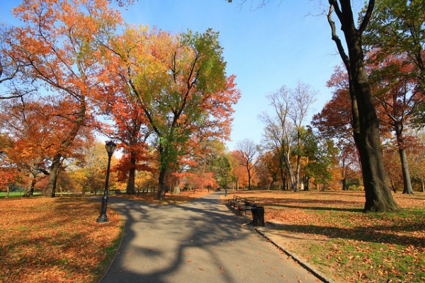 Pretty Cheap: Five Beautiful City Breaks for Autumn