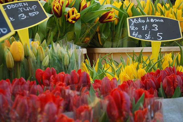 flower market in Amsterdam