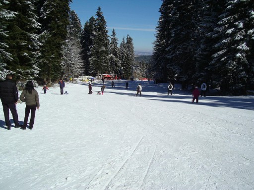 Day 3 11:26 - Ski school day 2 - Looking down the Rotata green run