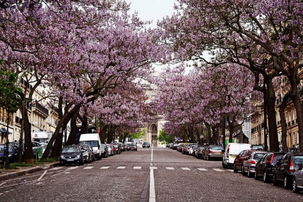 Top 5 Cheap and Beautiful Springtime Cities