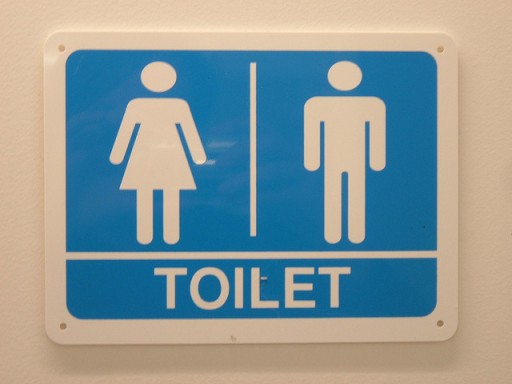 Toilet sign by Mr Thinktank via Flickr