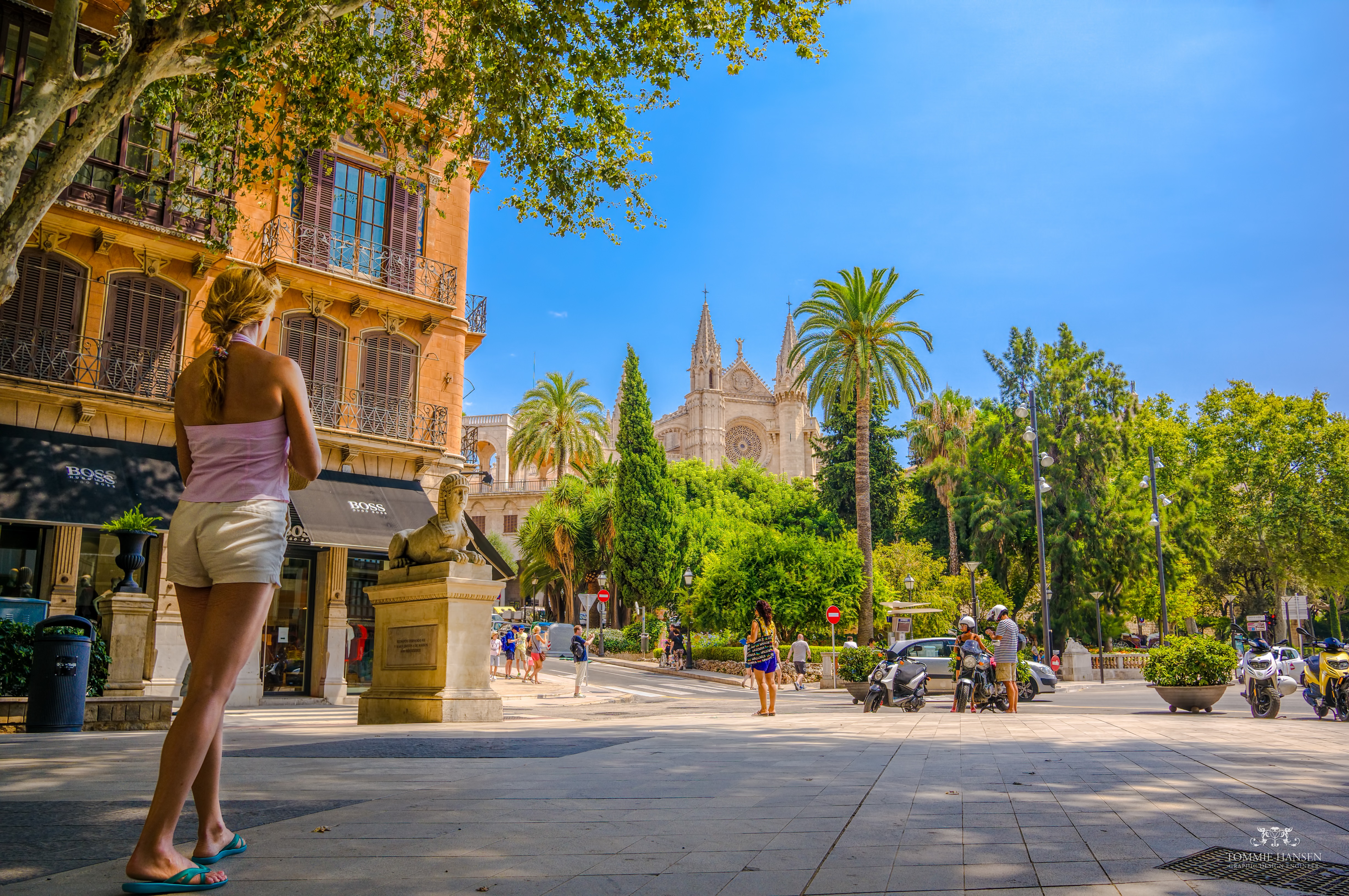 Cathedral / Catholic Church called 'La Seu' and view of Palma De Mallorca