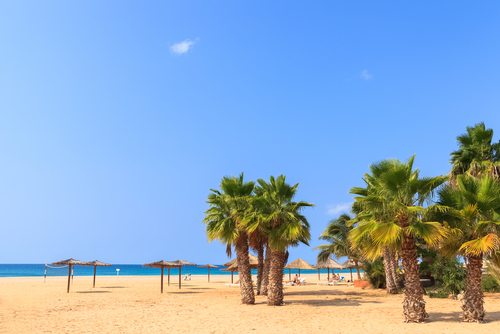 5 Things To Do In Cape Verde